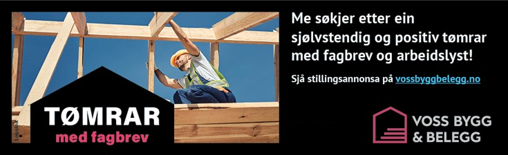 Hjem 2